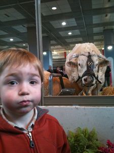 Salon-agriculture 0458