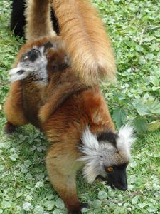 2010.0722.-040.jpg