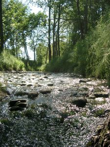 Coulee-verte-2.JPG