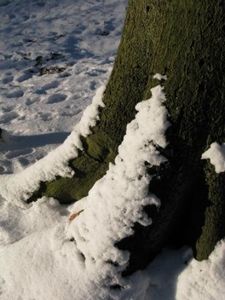neige