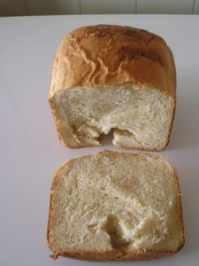 53058981.jpg