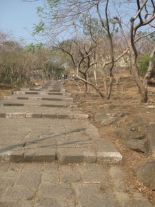 India 5386