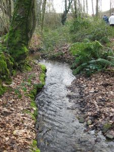 131 r de l'eau