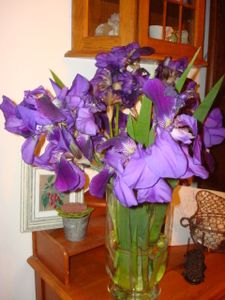 bouquet d'iris 2