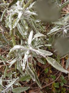 P1060098