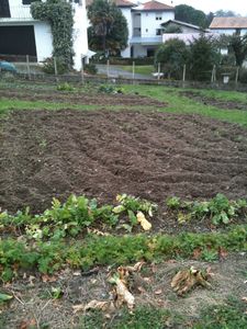 photojardin.JPG