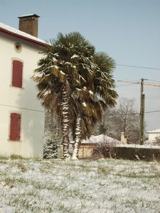 neige5.JPG