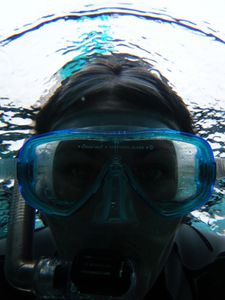 pointe lézarde sous l'eau 005
