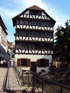 DSC02141.jpg