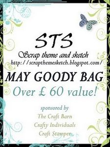 STS-goody-bag-B.jpg