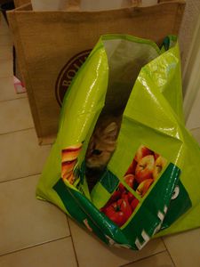 DSC01875