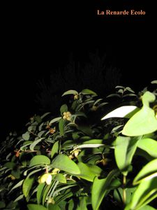 2010 08 17 027 R