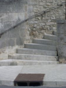 SL374546.JPG