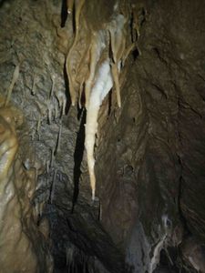 Grotte Michaux 20111019 PDu (4)