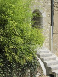 Castillonnes-bastide-1259--4-.jpg