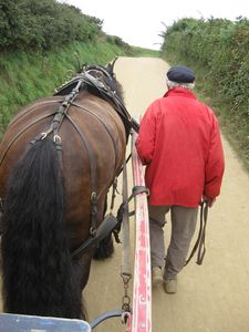 dimanche-16-01-005.jpg