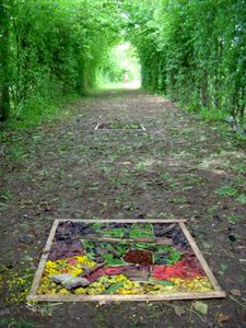 land-art-4w.jpg