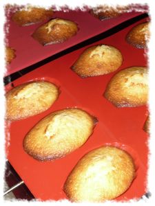madeleines-20-ronde.jpg