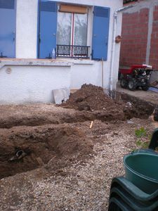 Photo-008.jpg