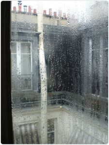 CIMG5238.jpg
