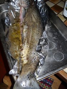 saumon-au-four-on-met-le-vin-blanc--500-.jpg