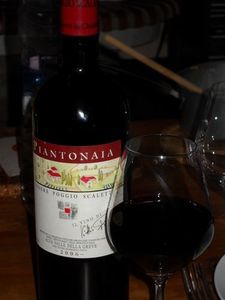 PIANTONAIA-2006--500-.jpg