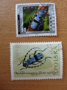 Rosalia timbres Pologne et Suisse