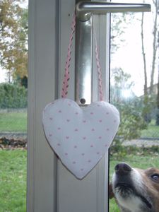 Novembre-1020101117_05.JPG