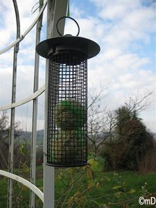 Porte boules-border