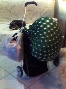PICT0001.JPG