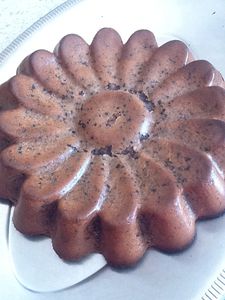 gateau-courgettes-chocolat.JPG