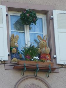 Bild-018.jpg