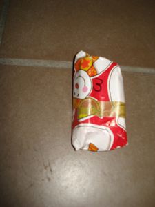 DSC05565 (FILEminimizer)