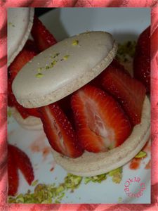 macaron dessert