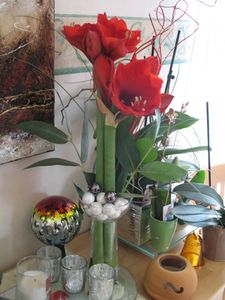 art floral amaryllis