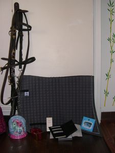 DSCN2906.JPG