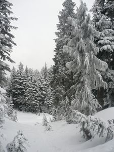 P1040053