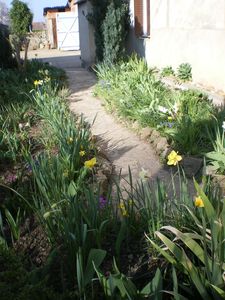 les maisons 011