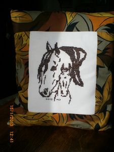 Cheval-par-Michelle.jpg