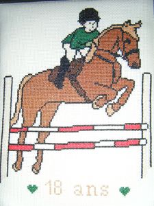 Cheval saut d'obstacle par Mélanie