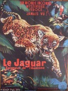 le-jaguar-seigneur-de-l-amazon-2838729