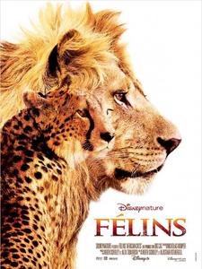 felins.png