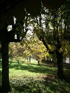 photo(10)-copie-1