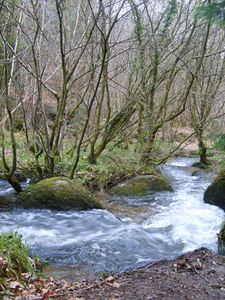 rivière d'argent