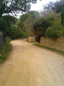 Photo0015
