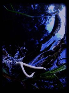 DSCN3852