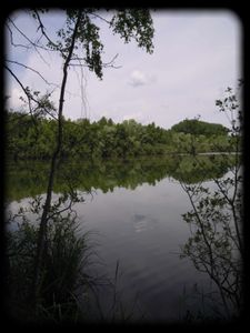 DSCN3898