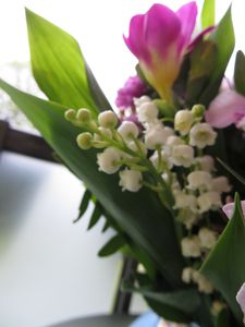 1-mai-2013-007.JPG