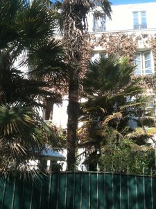 printemps-2012-0494.jpg