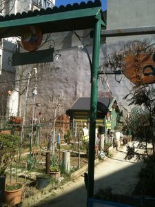 printemps-2012-0498.jpg
